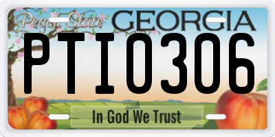 GA license plate PTI0306