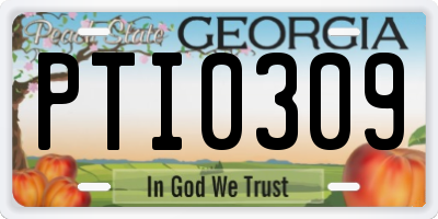 GA license plate PTI0309