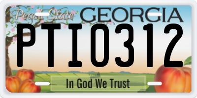 GA license plate PTI0312
