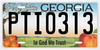 GA license plate PTI0313