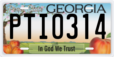 GA license plate PTI0314
