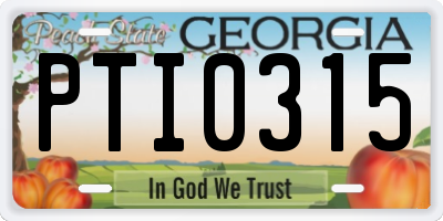 GA license plate PTI0315