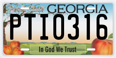 GA license plate PTI0316