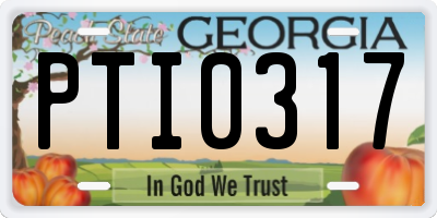 GA license plate PTI0317