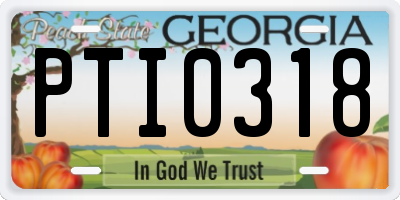 GA license plate PTI0318