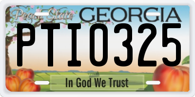 GA license plate PTI0325