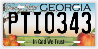 GA license plate PTI0343