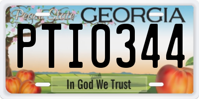 GA license plate PTI0344