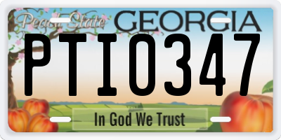 GA license plate PTI0347