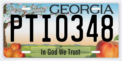 GA license plate PTI0348