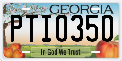 GA license plate PTI0350