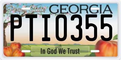 GA license plate PTI0355