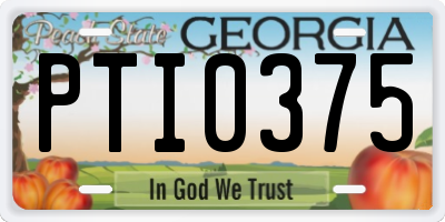 GA license plate PTI0375