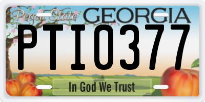 GA license plate PTI0377