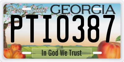 GA license plate PTI0387