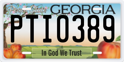 GA license plate PTI0389