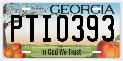 GA license plate PTI0393