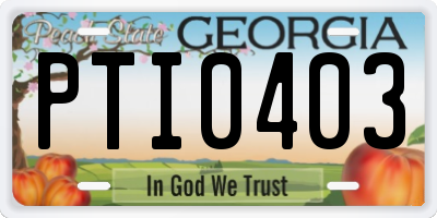 GA license plate PTI0403
