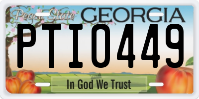 GA license plate PTI0449