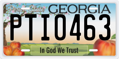 GA license plate PTI0463