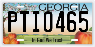 GA license plate PTI0465