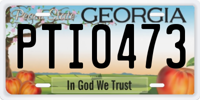 GA license plate PTI0473