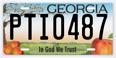 GA license plate PTI0487