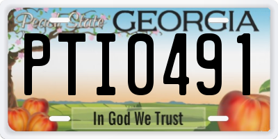 GA license plate PTI0491