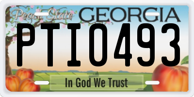 GA license plate PTI0493