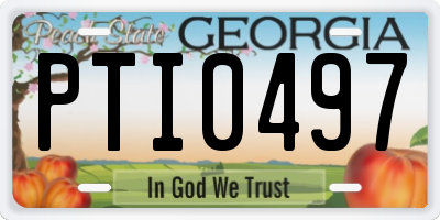 GA license plate PTI0497