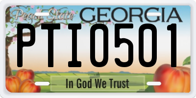 GA license plate PTI0501