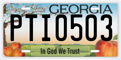 GA license plate PTI0503