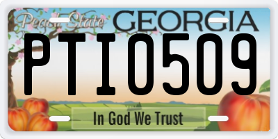 GA license plate PTI0509