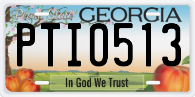 GA license plate PTI0513