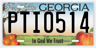 GA license plate PTI0514
