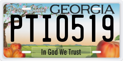 GA license plate PTI0519
