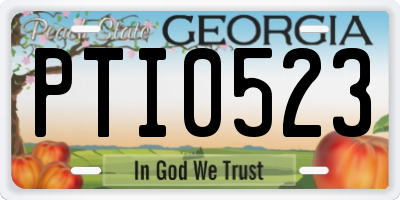 GA license plate PTI0523