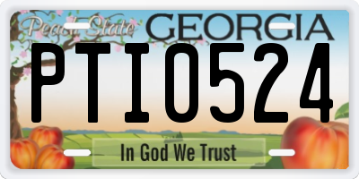 GA license plate PTI0524
