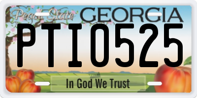GA license plate PTI0525