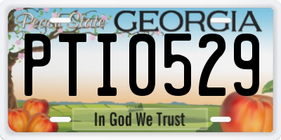 GA license plate PTI0529