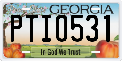 GA license plate PTI0531