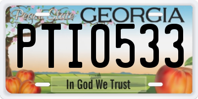 GA license plate PTI0533