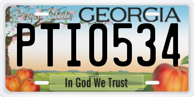 GA license plate PTI0534
