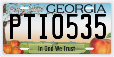 GA license plate PTI0535