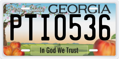 GA license plate PTI0536
