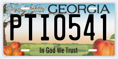 GA license plate PTI0541