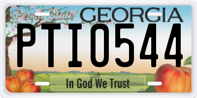GA license plate PTI0544