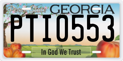 GA license plate PTI0553