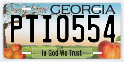 GA license plate PTI0554