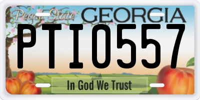 GA license plate PTI0557